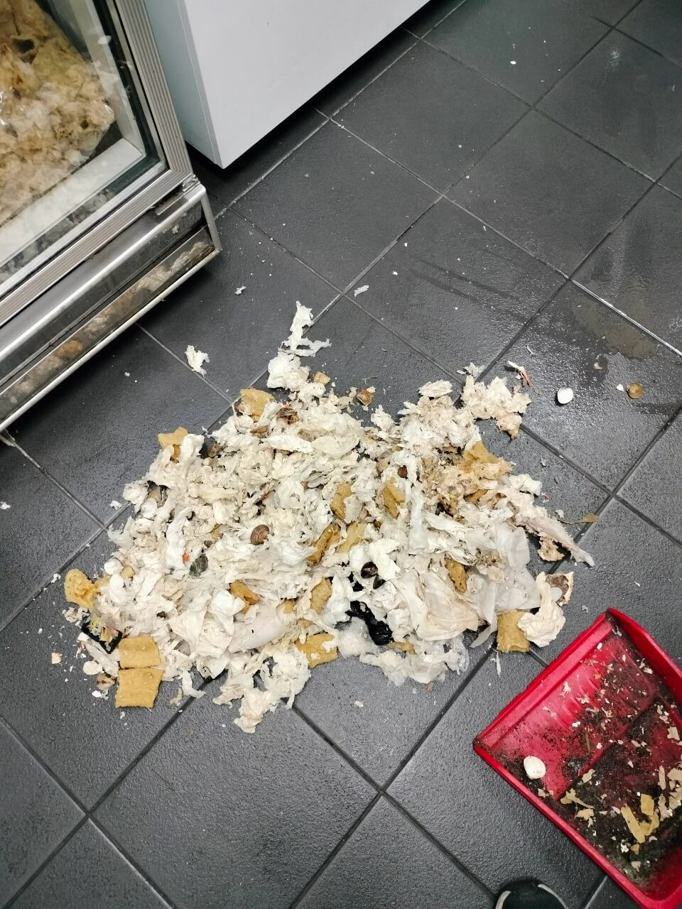 20250319餐廳消毒圖片
