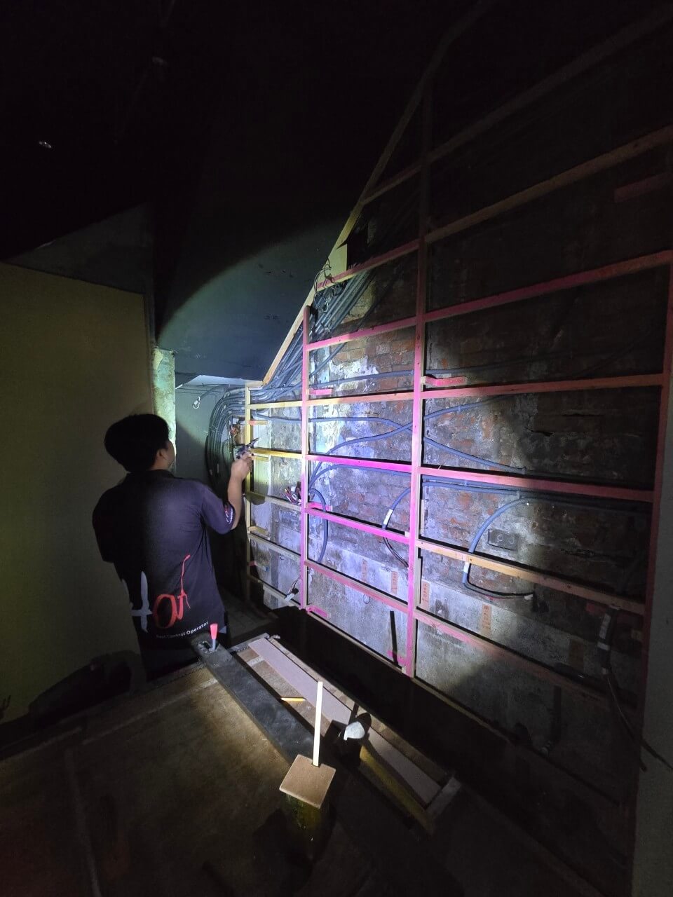 20241104餐廳白蟻 白蟻防治圖片