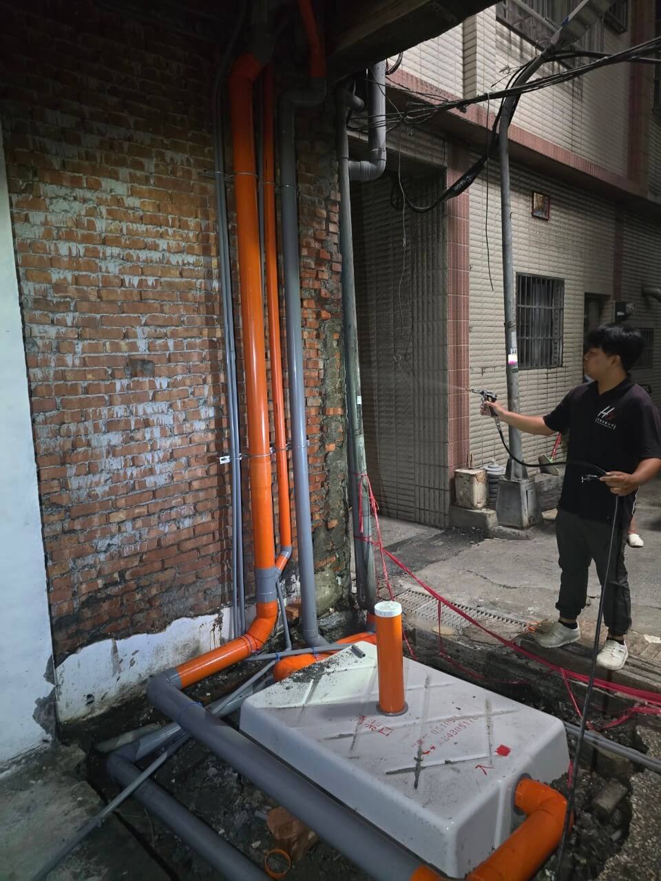 20241010毛胚屋白蟻 白蟻防治圖片