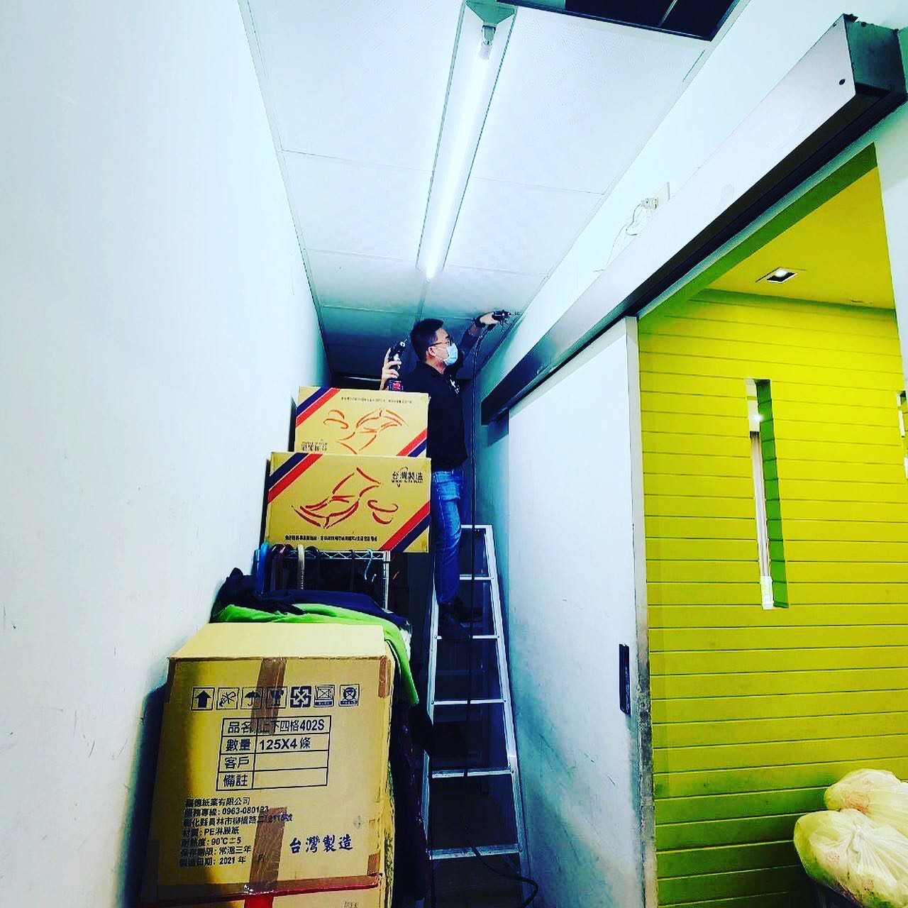 20210612白蟻防治圖片