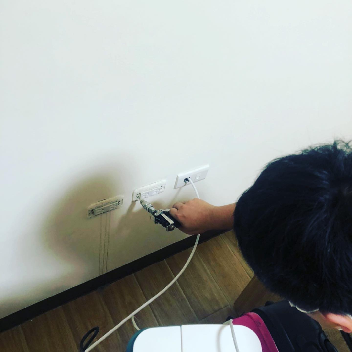 20210626白蟻防治圖片