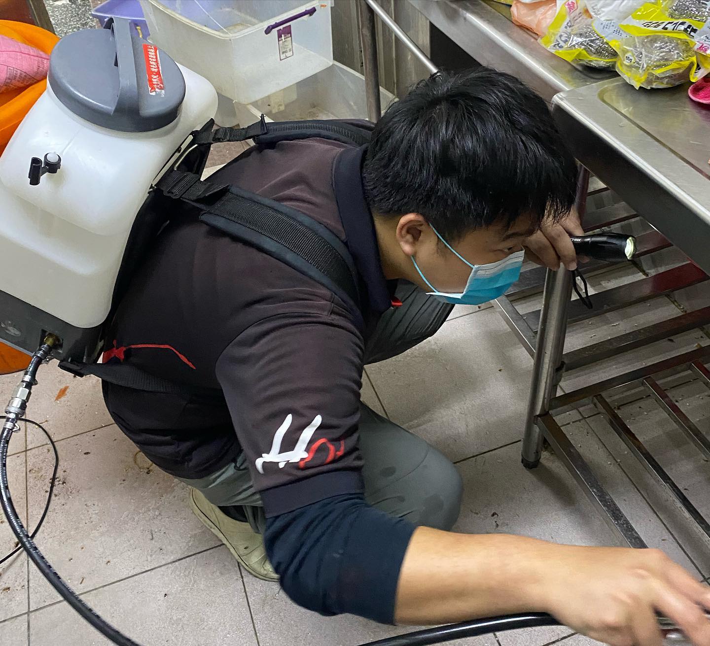20220224病媒防治圖片