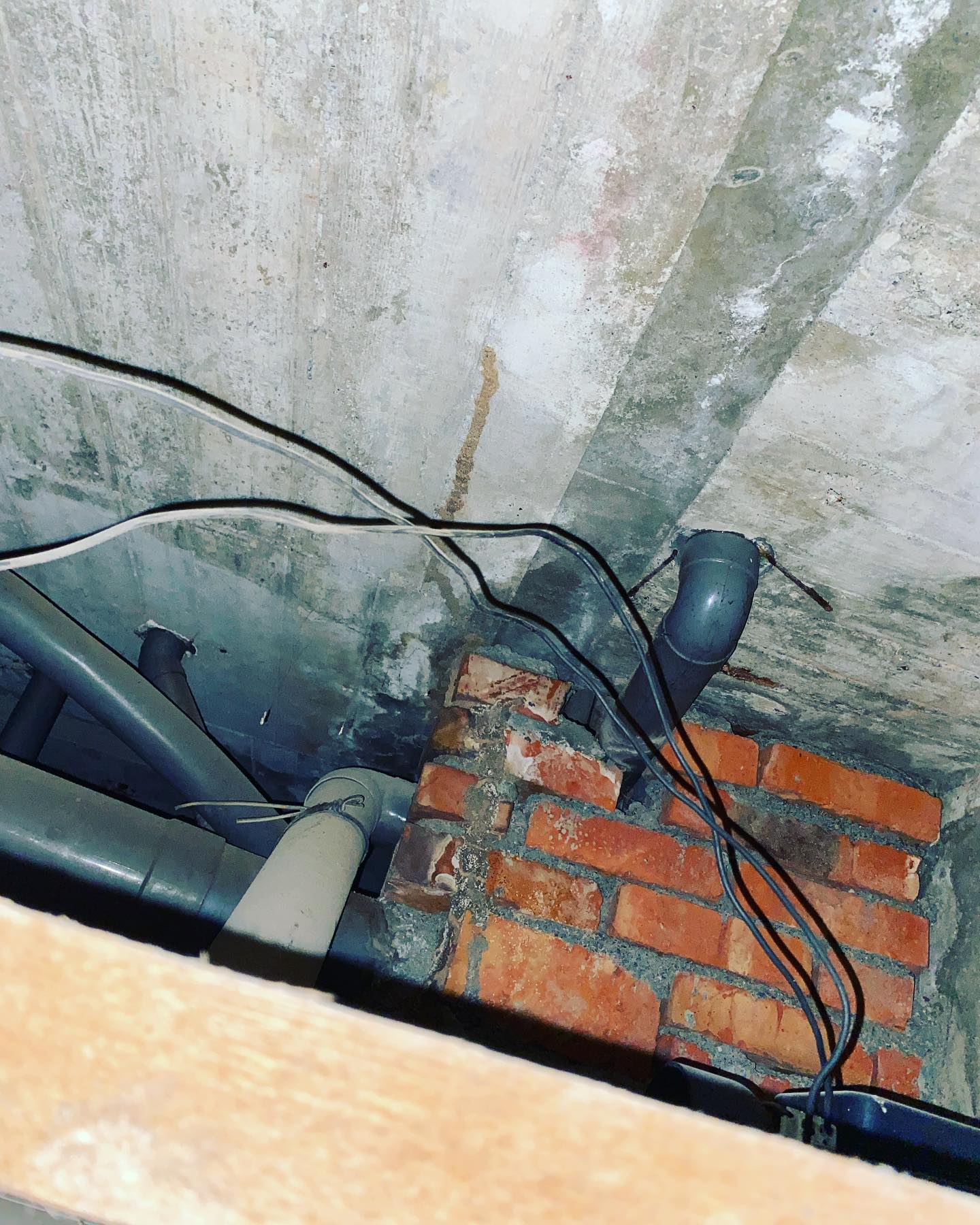 20220607白蟻防治圖片