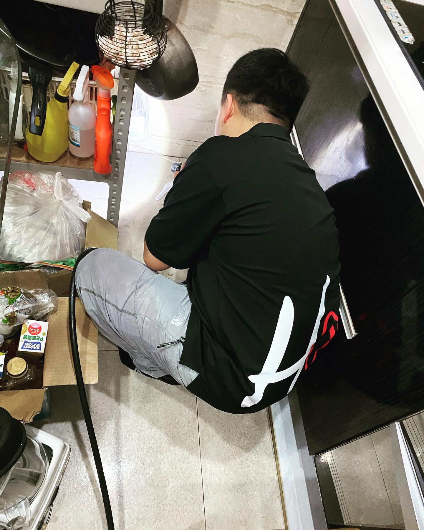 20221026白蟻防治圖片
