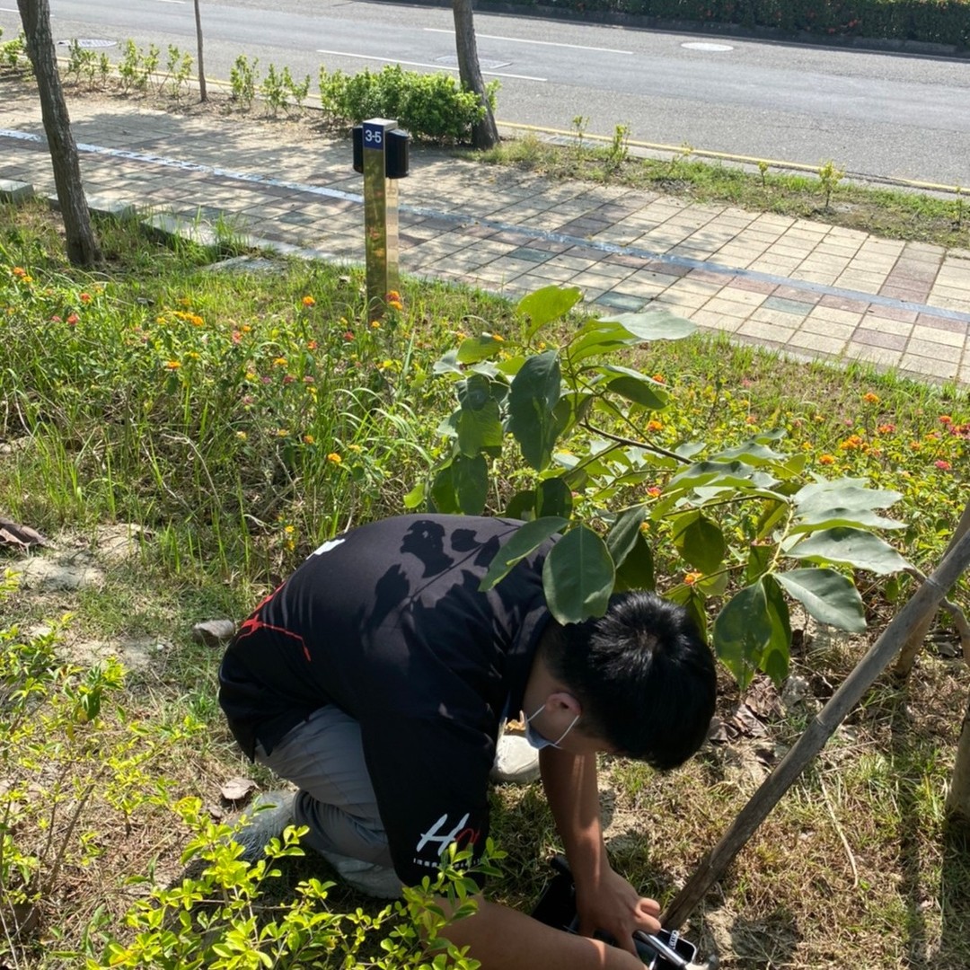 20221118鼠害防治圖片