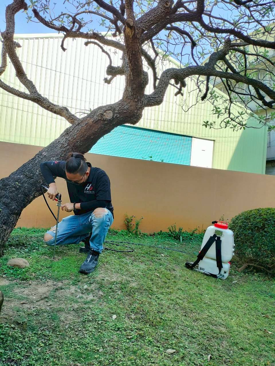 20260424白蟻防治+土壤灌注圖片